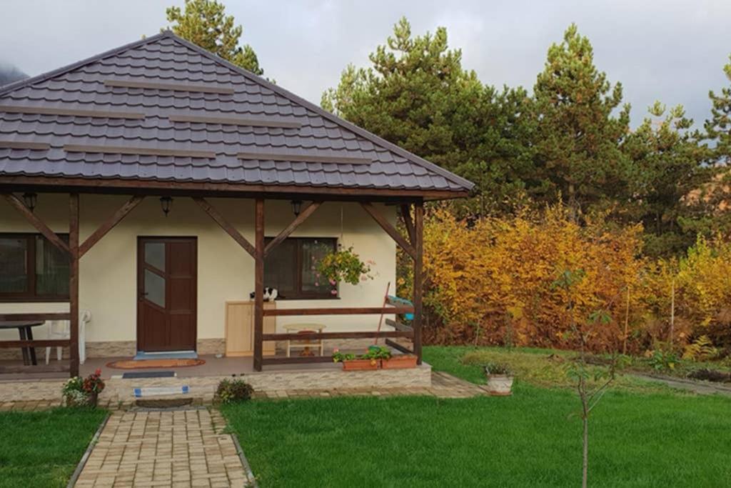 Limpedea Green House Бая-Маре Екстер'єр фото