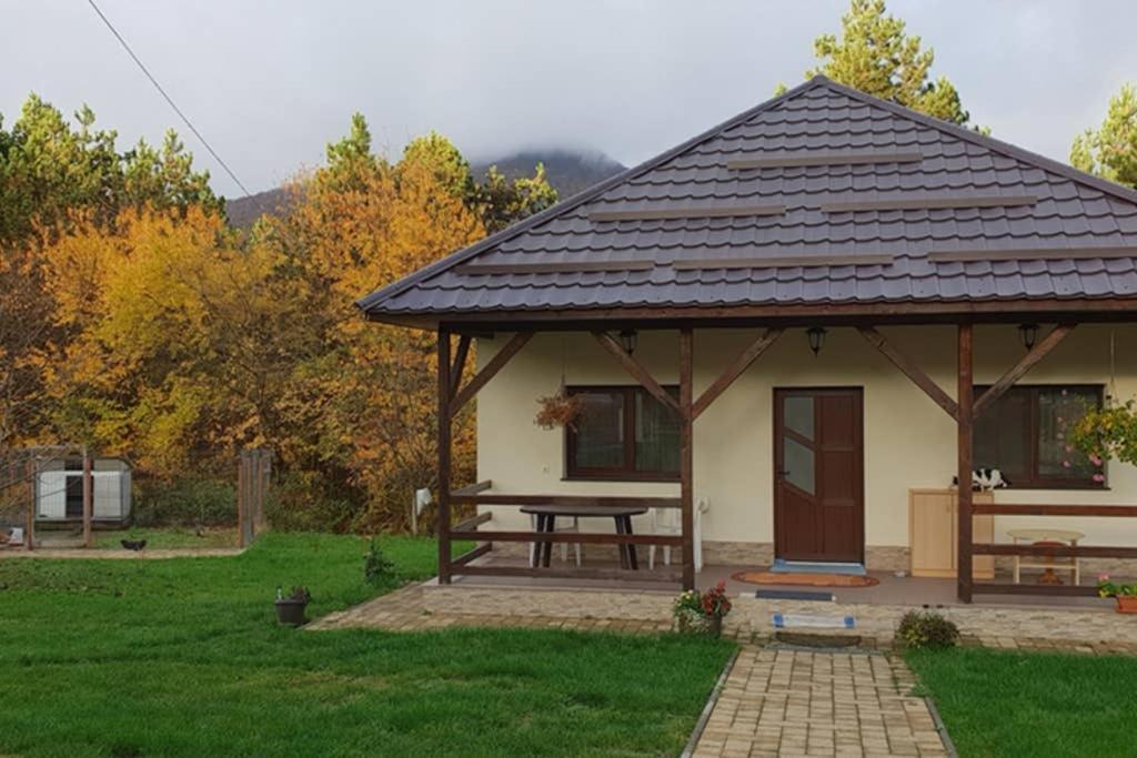 Limpedea Green House Бая-Маре Екстер'єр фото